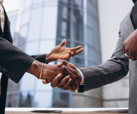 Governance and Leadership - Basswood Energy - Reliable, cost-effective, and cleaner energy solutions for businesses, transport, and everyday power needs across Nigeria.